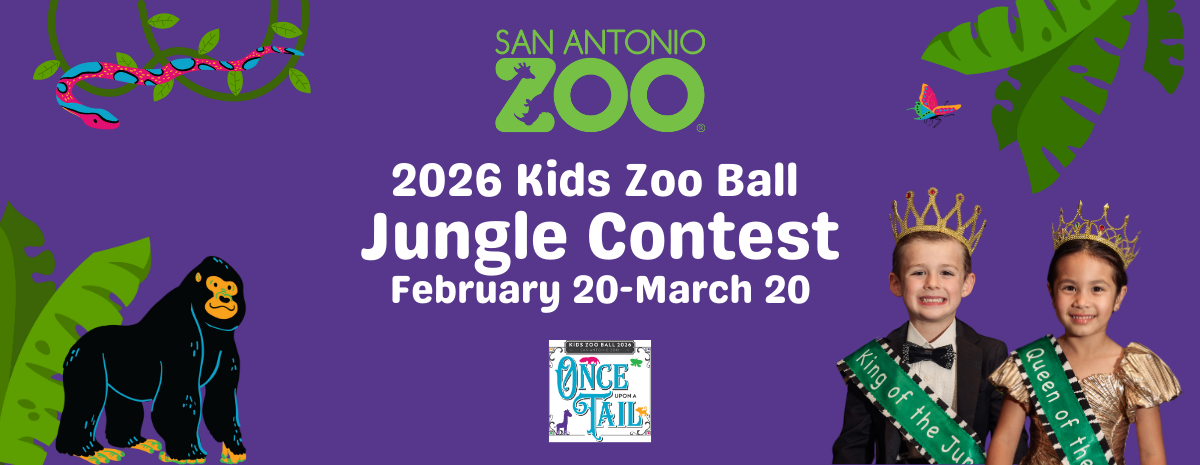 8th Annual Kids Zoo Ball Jungle Contest
